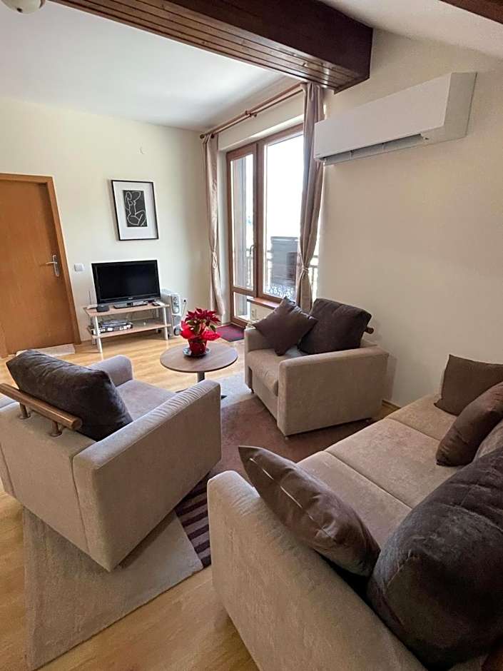 Cozy Mountain Apartment