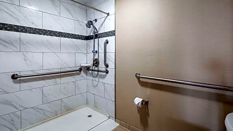 ACCESSIBLE - SUITE 2 QUEEN,MOBACC,ROLLSH,1BDRM,SOFBD,LIVING,NSMK,FULL BREAKFAST