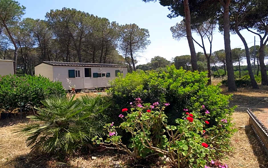 Villaggio Camping Nurral