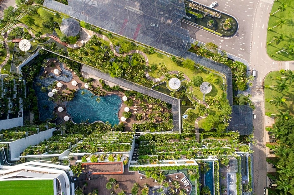 FOREST IN THE SKY - FLAMINGO DAI LAI