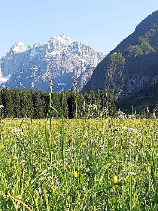 Affittacamere Krajnc