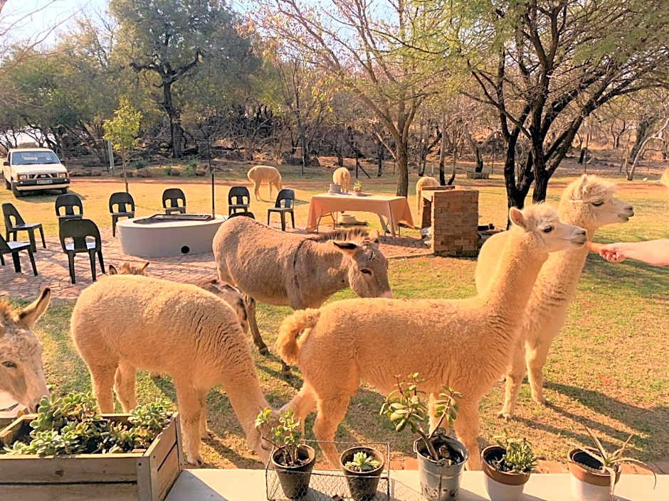 Tula Baba Game Lodge