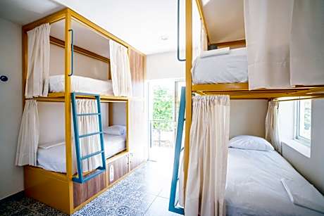 Single Bed in Female Dormitory Room