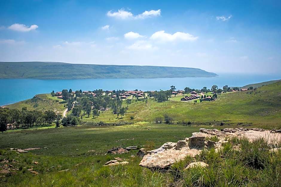 First Group Qwantani