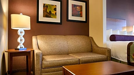 Suite-1 King Bed - Non-Smoking, Sofabed, Microwave And Refrigerator, Wi-Fi, Full Breakfast