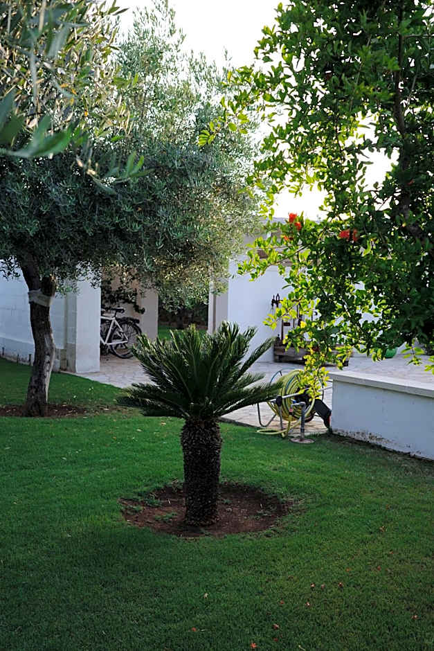 L'Ulivo Bed and Breakfast