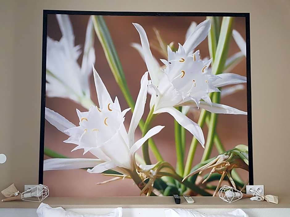 Hôtel-Restaurant "Chez Carrière"