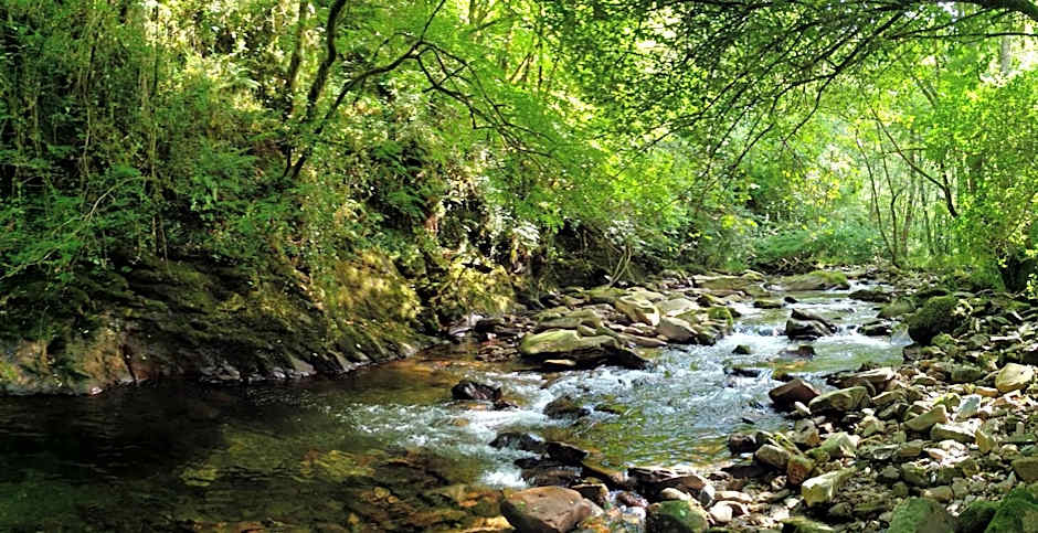 Albergue Olasenea Aterpea