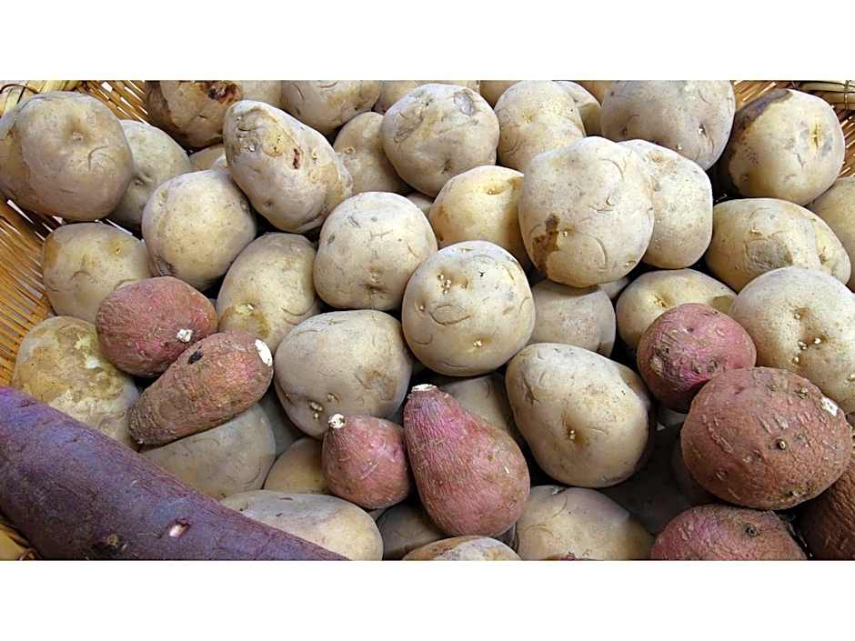 Onsen Hotel Tsutsujiso - Vacation STAY 03252v