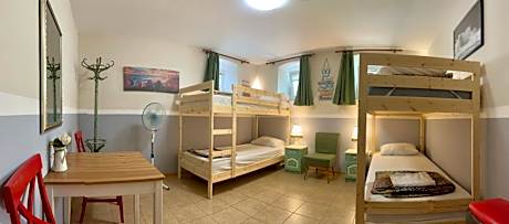 Bed in 4-Bed Mixed Dormitory Room