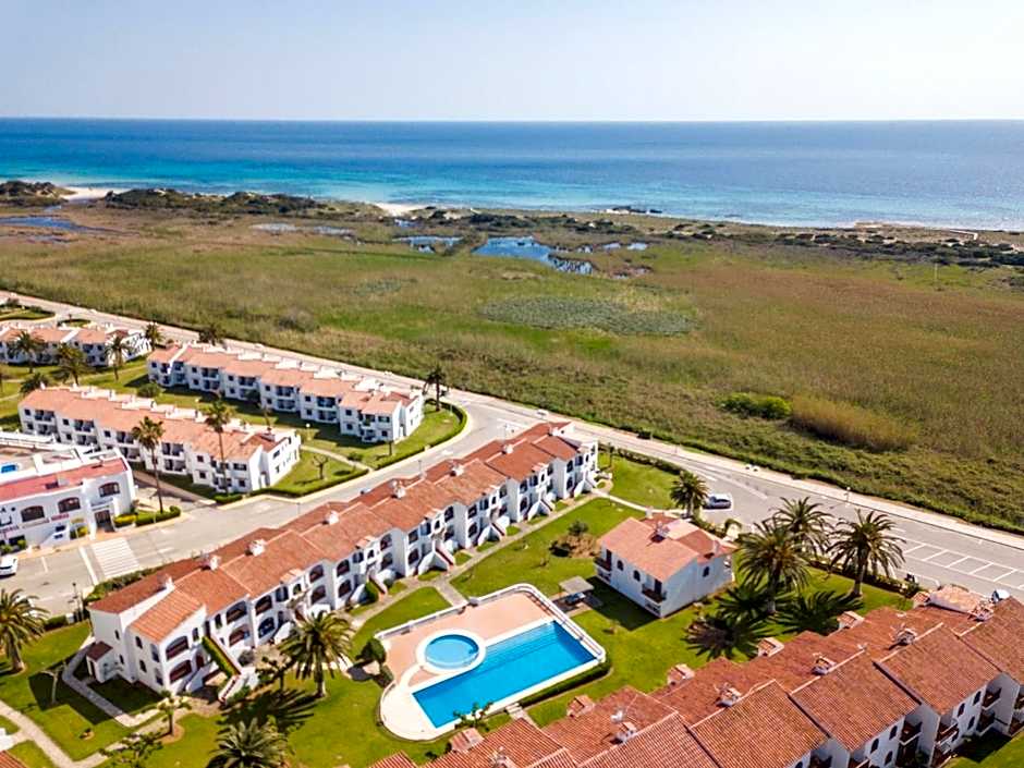 Girasol Garden Superior 2