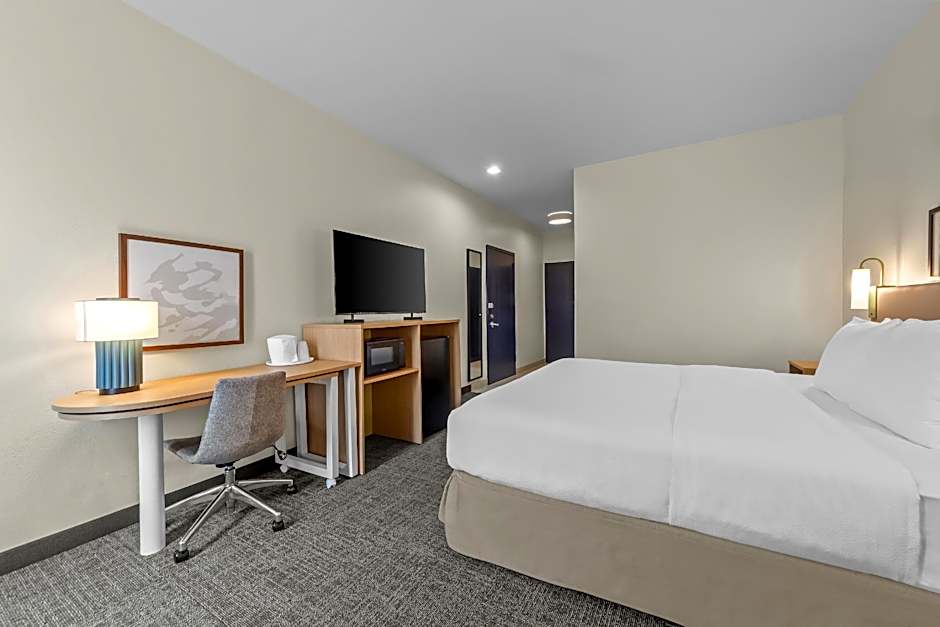Photo 1 of 4 of 1 King Bed, Hearing/Mobility Accessible, Bathtub