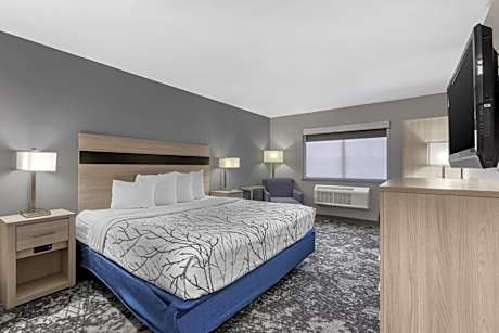 King Room - Pet Friendly/Non-Smoking