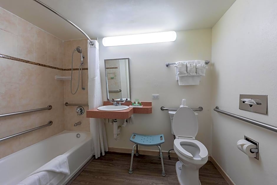 Holiday Inn Hotel Port of Miami-Downtown By IHG