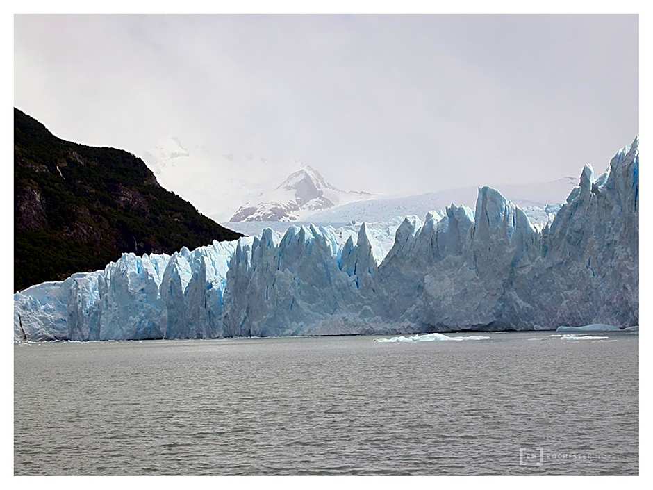 Rochester Calafate