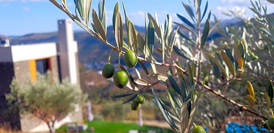 Casa do Arco by Douro Exclusive