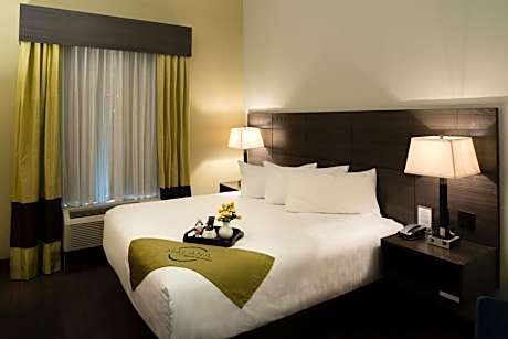 Malana Hotels & Suites