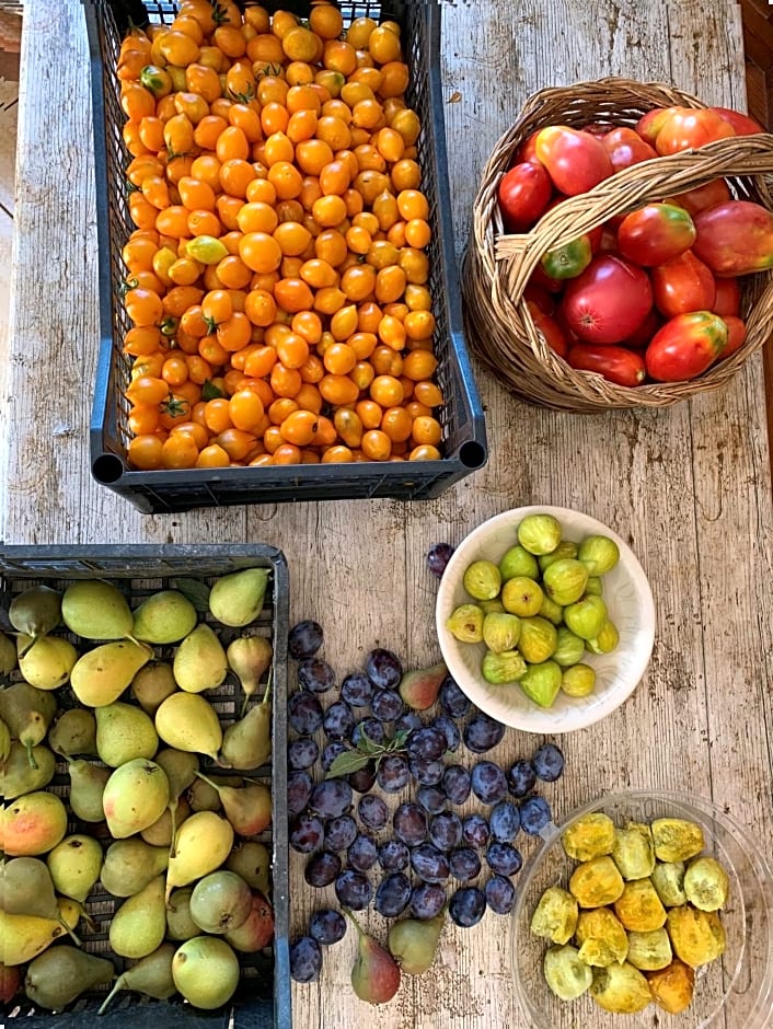 B&B Caput Mundi-Calabria