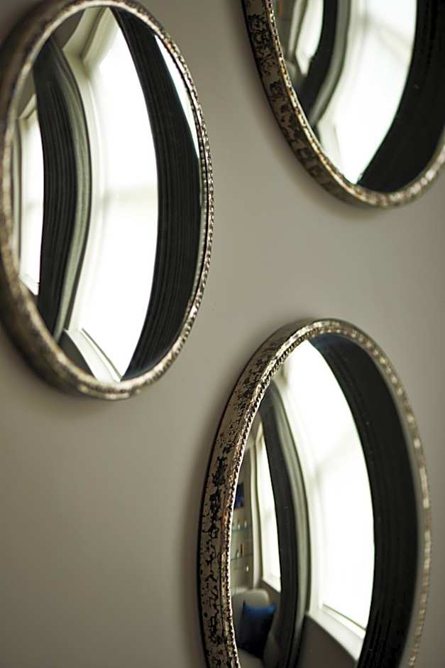 The Bull and The Hide