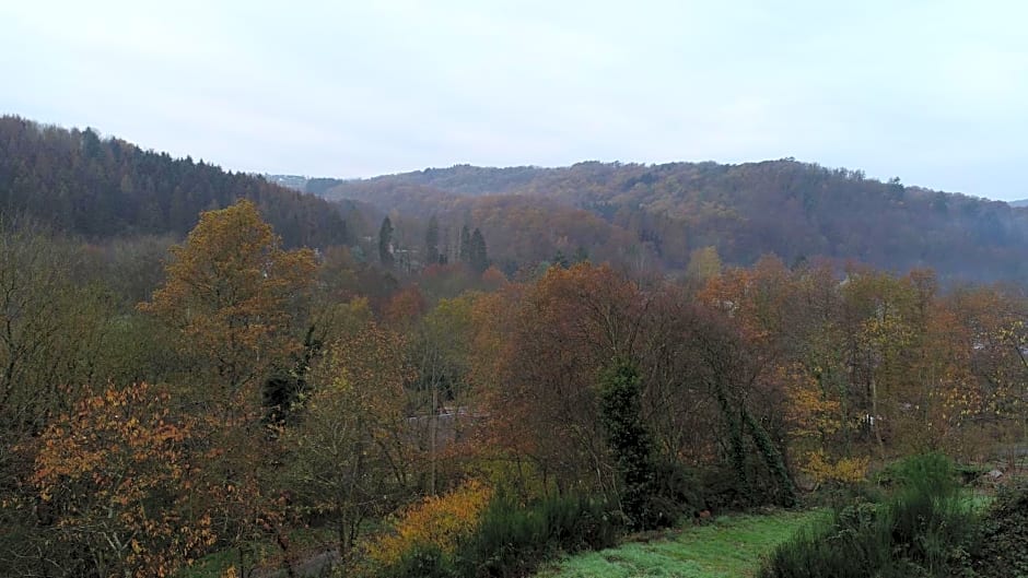 Chambres d'hôtes Les 3 Salamandres