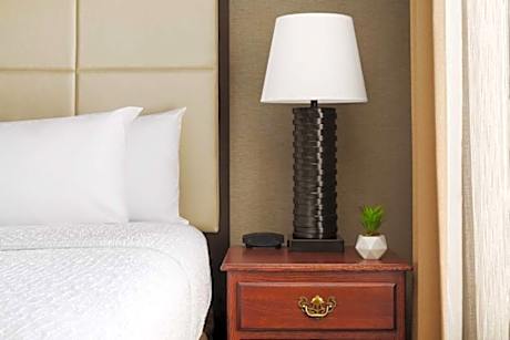 1 King Bedstudio Suite  Nonsmoking