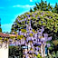 Hôtel Beau Site - Cap d'Antibes