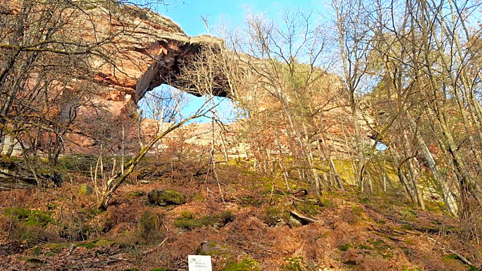 Chez Anny et Jean Au Mittelbuehl-Reichshoffen