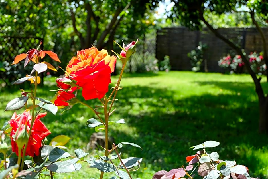 B&B CasaNera