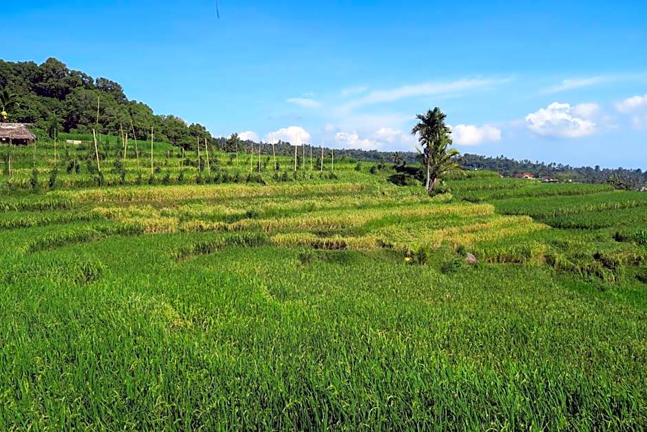 Budaya Kaki Rinjani