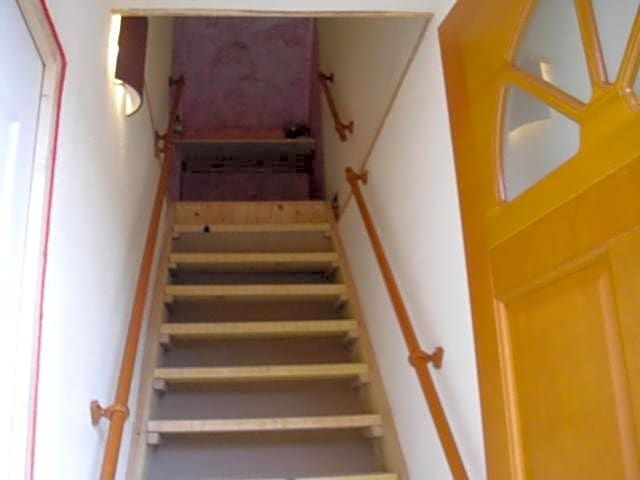 Le chant des oiseaux