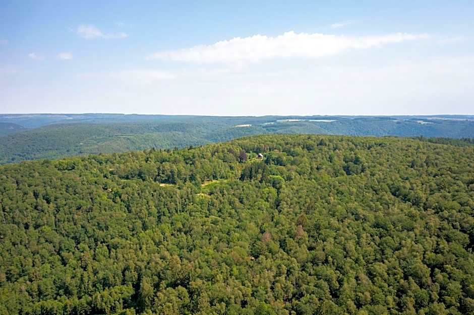 Les cabanes des Dolimarts
