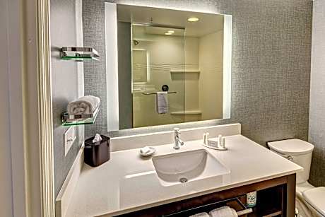 Studio, 1 King Bed with Sofa bed (1 King Bed and 1 Double Sofa Bed)