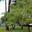 Pwani Beach Hotel & Apartments