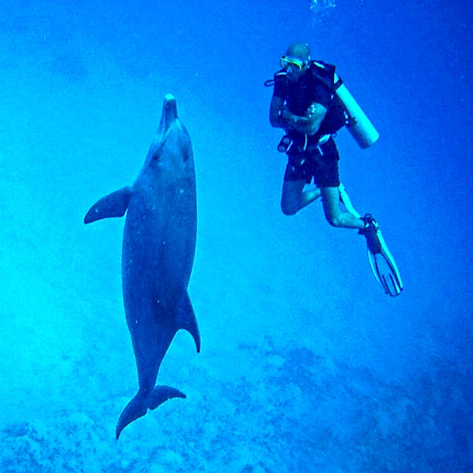 Blue Vision Diving Hotel