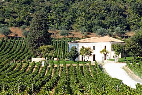 San Calisto camere con vigna