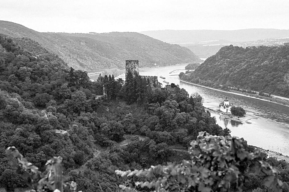 FETZ DAS LORELEY HOTEL