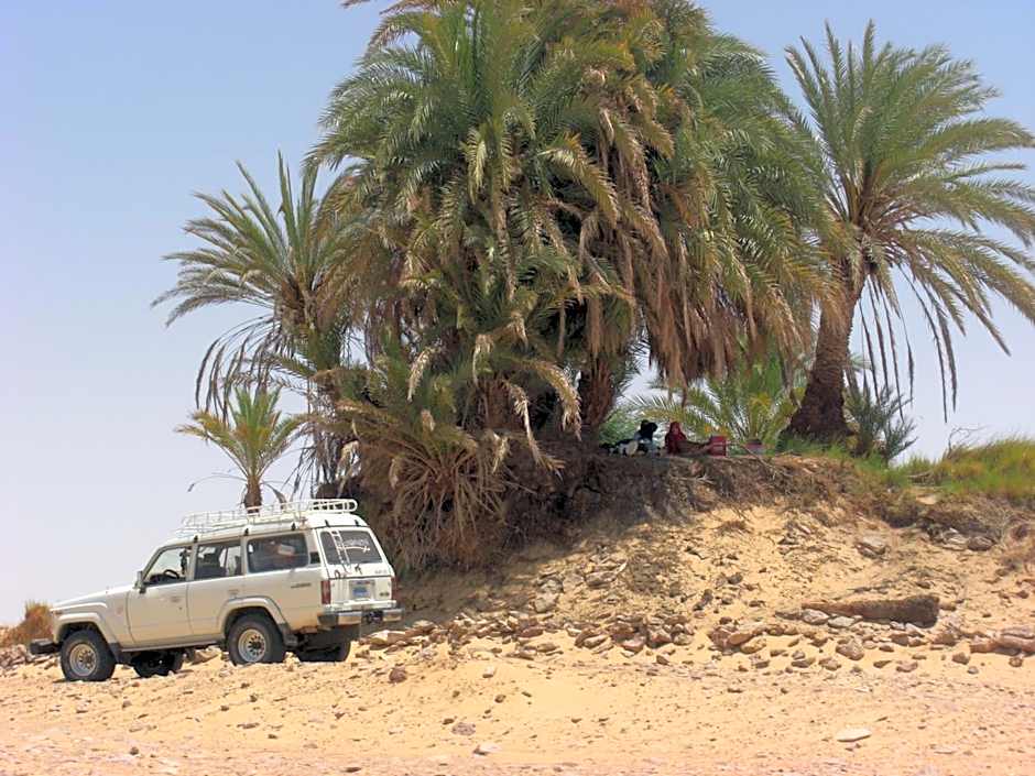 Oasis Panorama Hotel