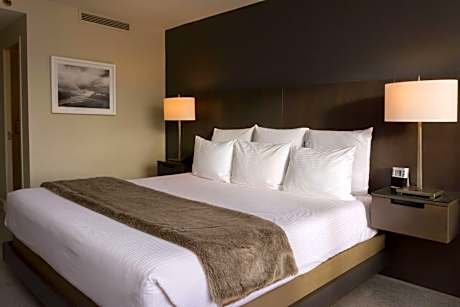 1 King Bed