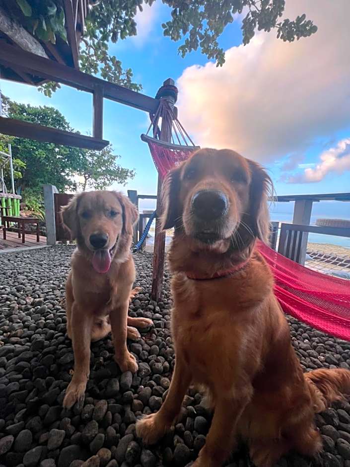 White Bada Guesthouse