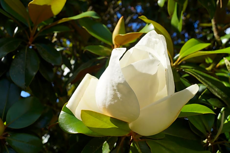 Les Luz - Chambres d'hôtes