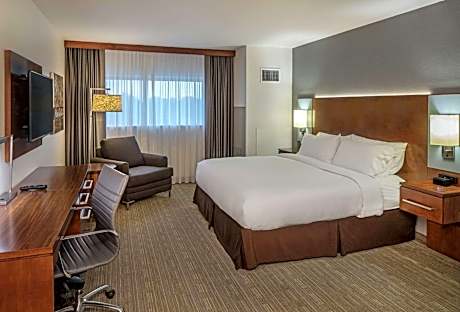 1 King 2 Room Mob Acc Suite Transfer Shower