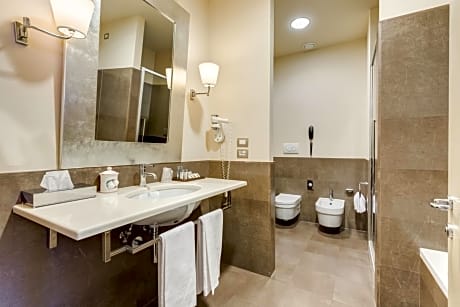 Junior Suite with One King Bed and Sofa Bed