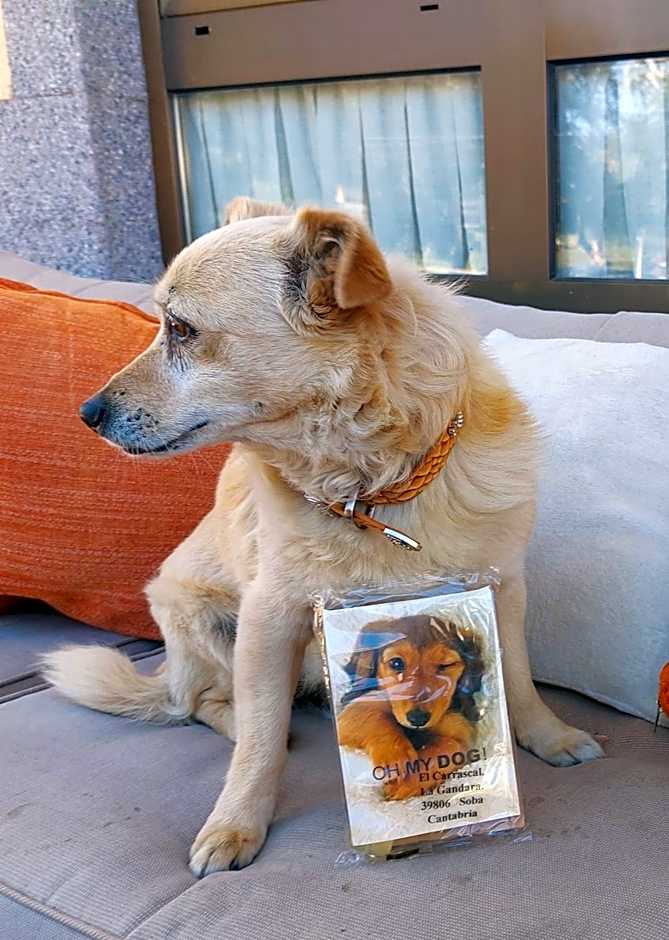 Viviendas Turisticas El Carrascal