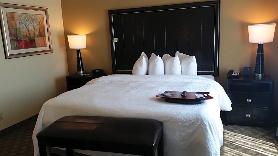 Hampton Inn & Suites McAlester