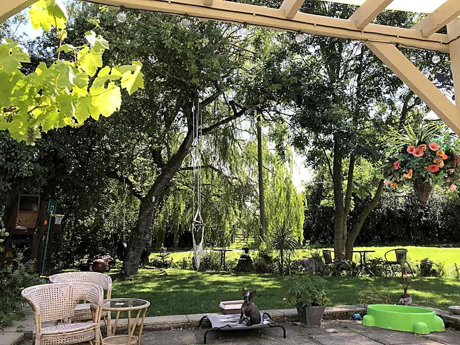 Old Thatch Bambers Green