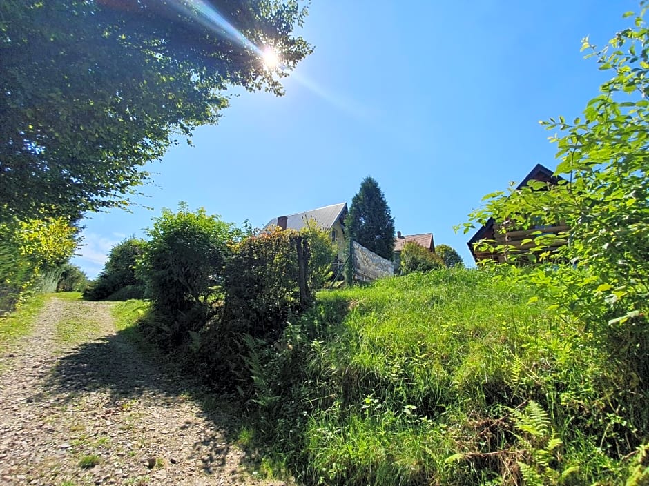 Domek nad jeziorem, Kalinówka w Olchowcu, Solina