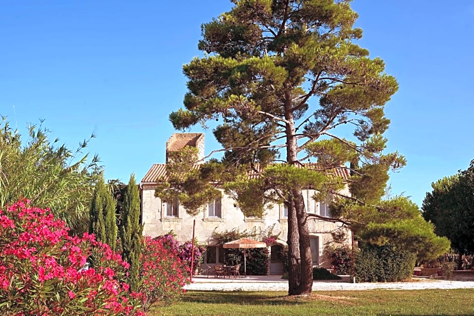 Maison Tara verte au Mas Montredon