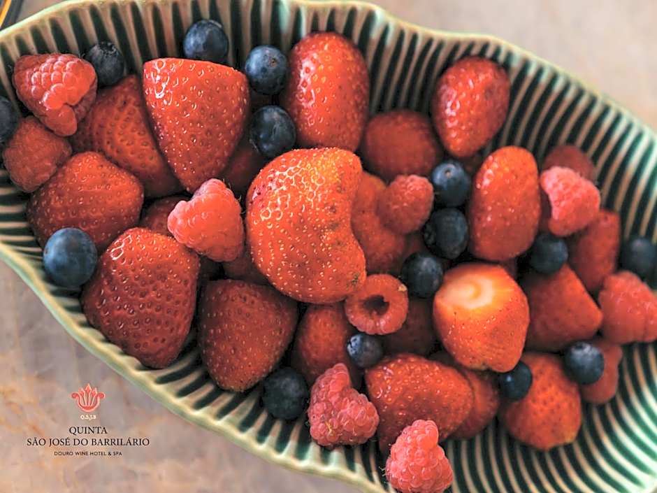 Barrilario Douro Wine Hotel e Spa - Quinta São Jose do Barrilario