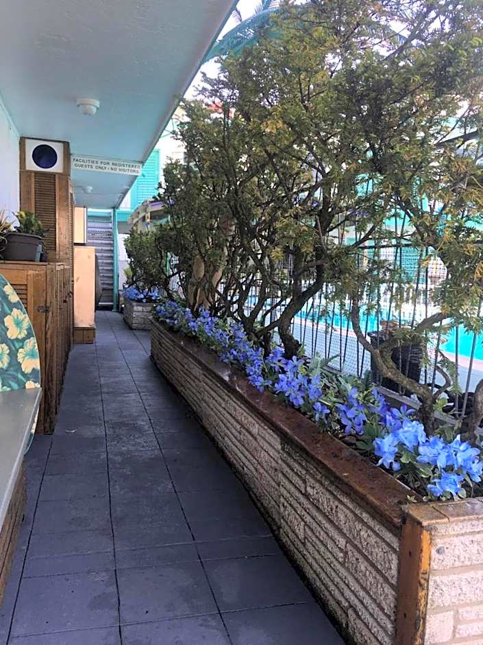 Bel Air Motel Wildwood Crest Beach