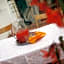Hotel Dalmazia